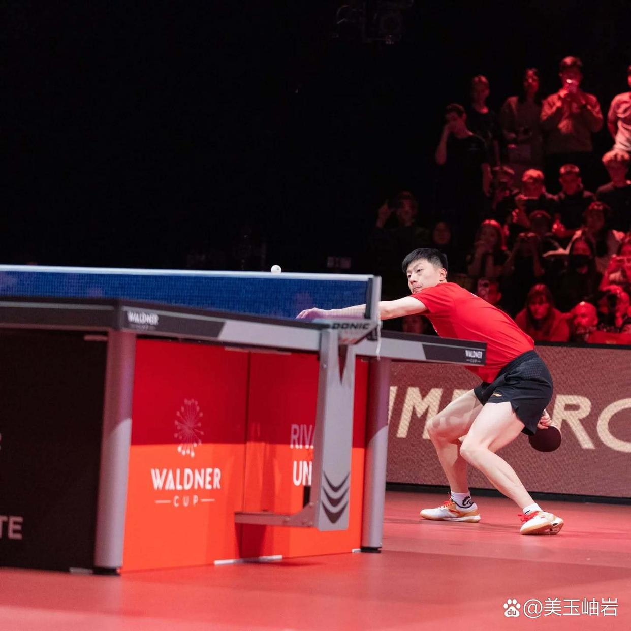 体育明星在比赛中展现出非凡的实力和技巧