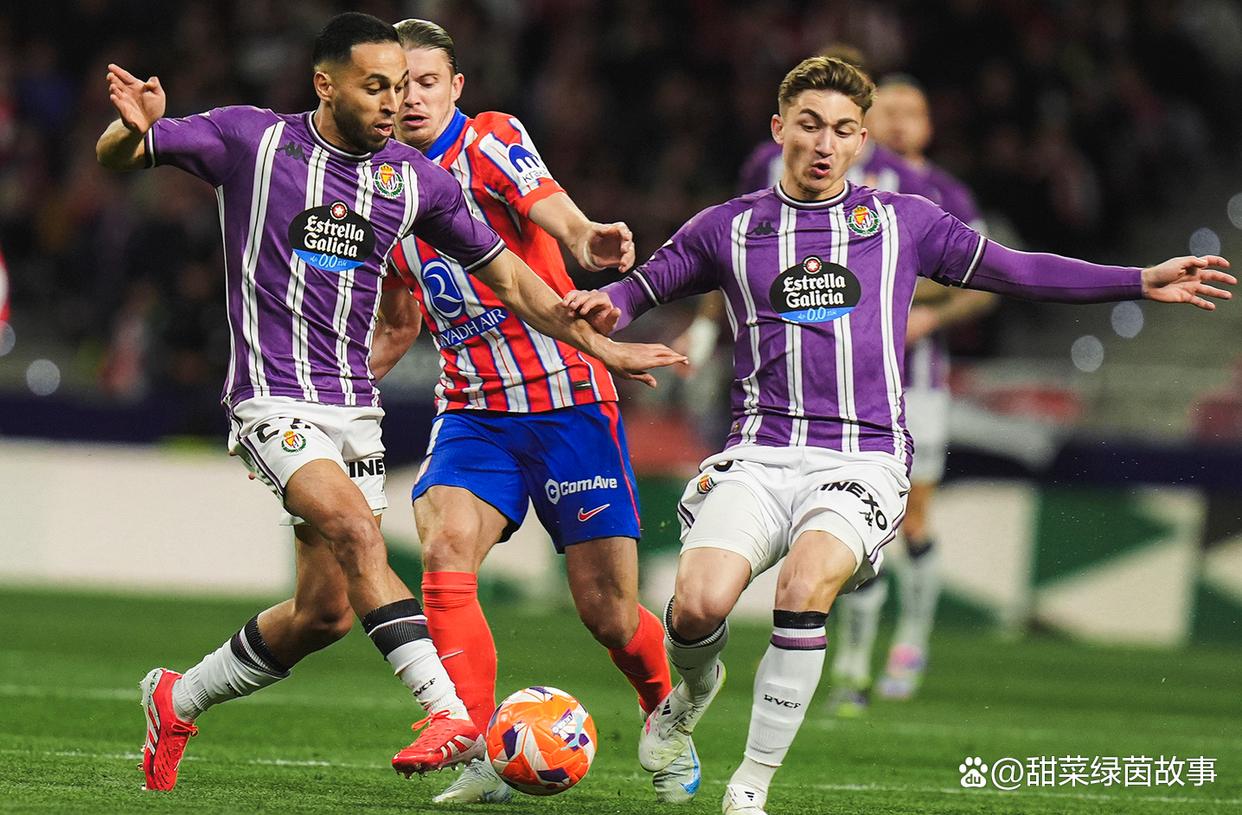 巴拉多利德持平奥萨苏纳，保持不败纪录的简单介绍